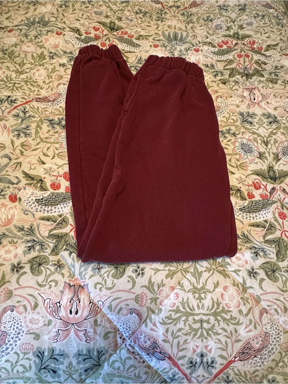 Brandy Melville Burgundy Elastic Waist Pants